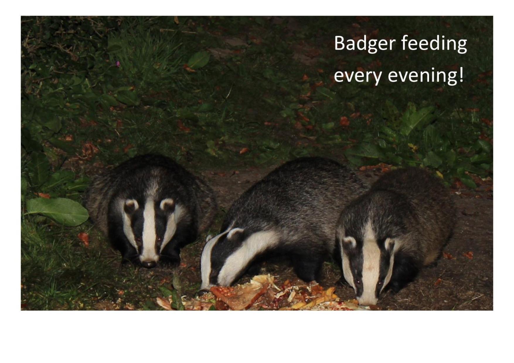 לינה וארוחת בוקר אמבלסייד Badger Bar מראה חיצוני תמונה